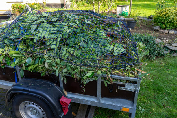 Best Same-Day Junk Removal Services  in Olney, MD